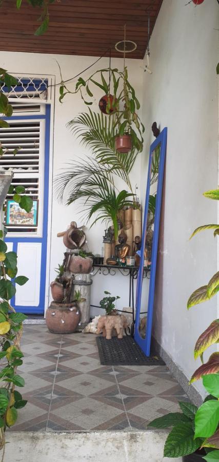 Chambre D'Hote La Calebasse Sainte-Anne Ngoại thất bức ảnh